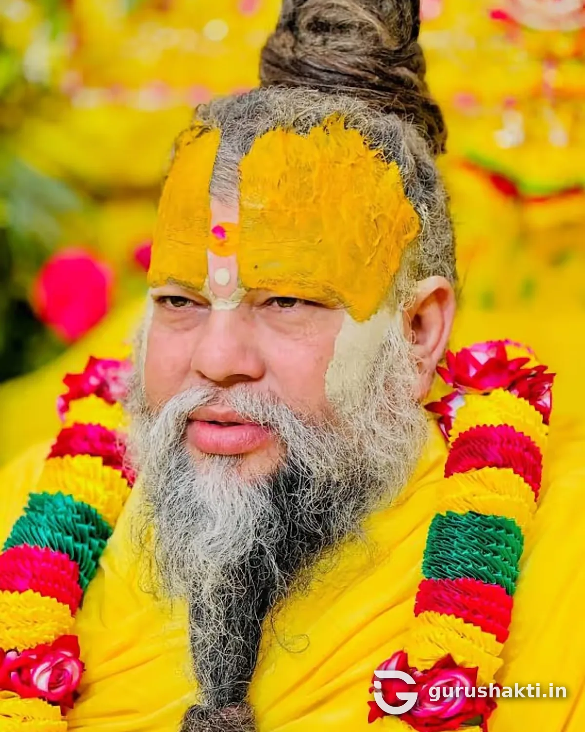 Portrait of Premanand Ji Maharaj